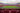 Spotify Camp Nou en obras
