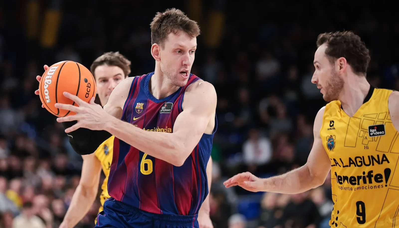 Vesely.
