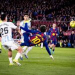 Lamine chilena Oviedo