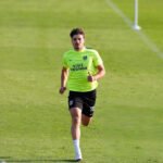 Julián Álvarez